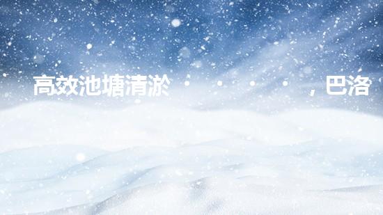 高效池塘清淤，巴洛仕設(shè)備助您一臂之力